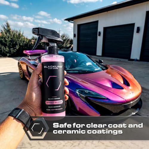 Speed Gloss Quick Detailer Spray 16oz (16 Fl Oz (Pack of 1))