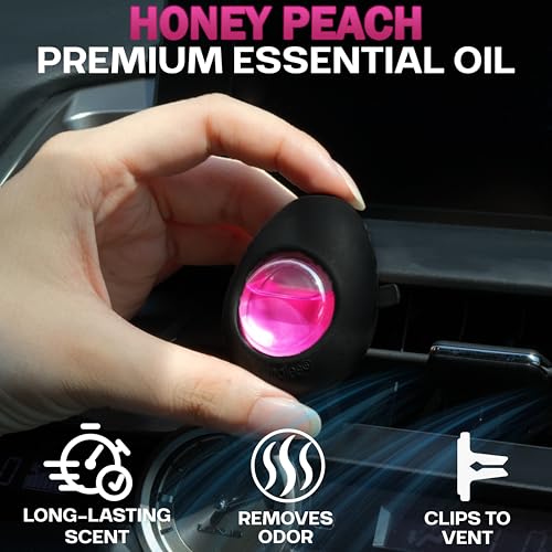 Car Air Freshener Vent Clip 3 Ct (3 Count (Pack of 1))