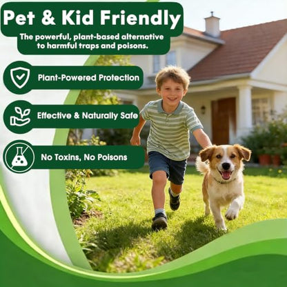 4 Pack Rodent Repellent for Car Engines