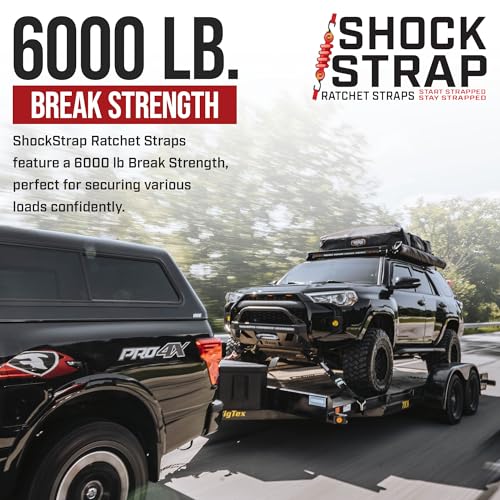 Ratchet Strap (4 Pack / 9' x 2")