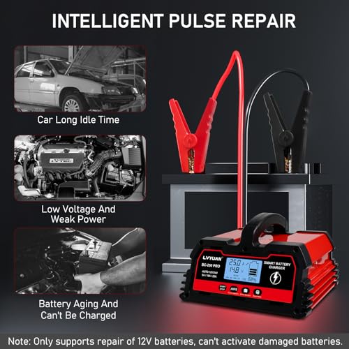 25A Smart Car Battery Charger (25A)