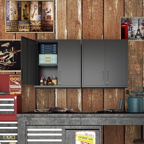 Wall Mounted Metal Storage Cabinet (Black / H30.31" - 2 Doors)