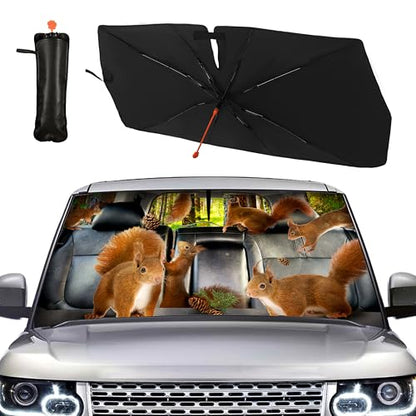 Squirrel Car Windshield Sunshade Umbrella Cute Sun Shade Umbrella for Car Foldable Windshield Umbrella Block UV Rays Heat Keep Vehicle Cool for Cars SUV 57"x30" (Squirrel)