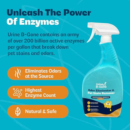 Urine B Gone Enzyme Cleaner for Human (32 Fl Oz (Pack of 1))