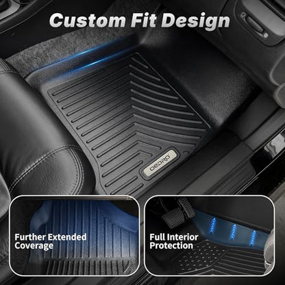 Floor Mats Fit for 2019
