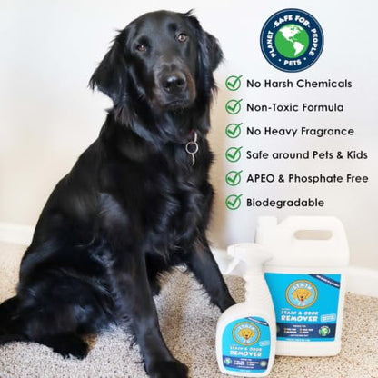 Pet Stain & Odor Remover (24 Fl Oz (Pack of 1))