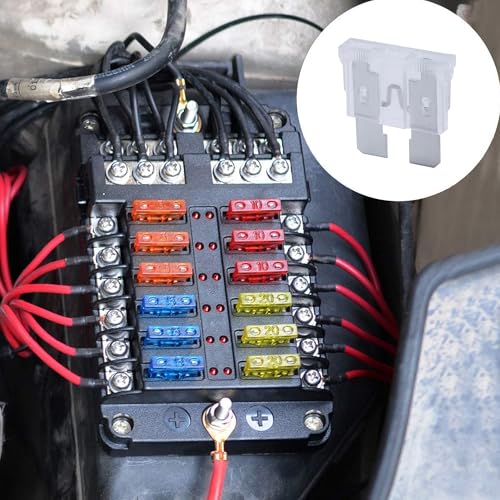 100 Pack Auto Fuses 25 AMP ATC (25 AMP)