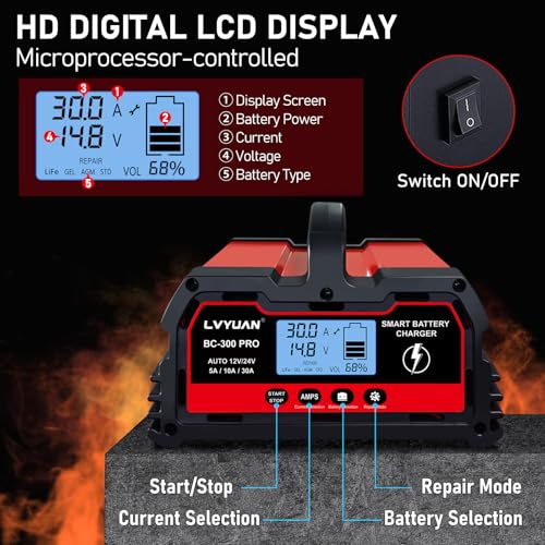 30A Smart Car Battery Charge (30A)