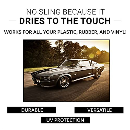 CAR GUYS Tire Shine Spray (18 Oz Kit (W/ Applicator))