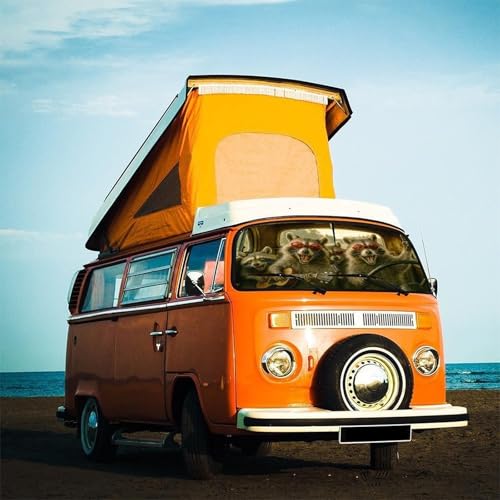 Funny Raccoon Car Windshield Sun Shade Umbrella Bendable Handle Foldable Animal Print Sunshade for Car Windshield Block UV Rays Keep Vehicle Cool for Most Sedans SUV Trucks Cars 57"x30" (147*75cm,33*11cm / Funny Raccoon)