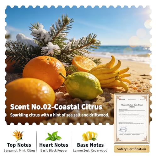 Car Air Freshener Refill