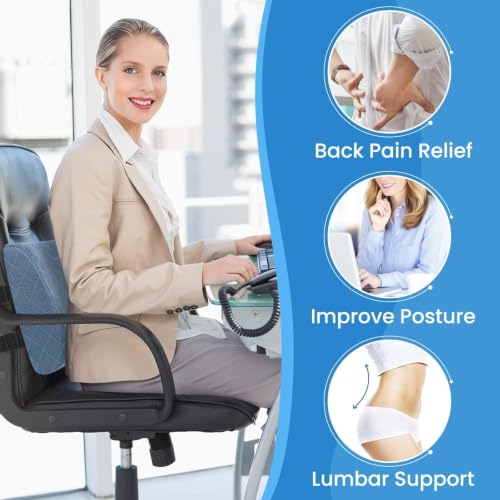 Lumbar Support Pillow for Office Chair (Light Blue)
