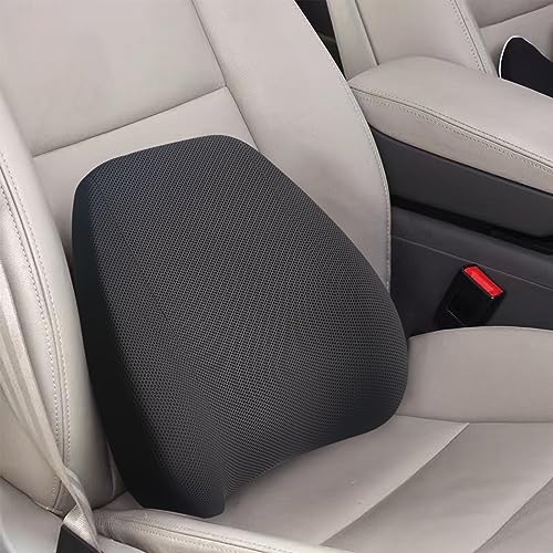 Super Cozy Lumbar Support Pillow for Car (Backsaver-two)