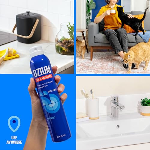 3.5 Oz. Air Sanitizer and Odor Eliminator Spray (3.5 Ounce (Pack of 2))