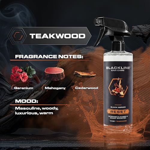 Reset Interior Car Cleaner & Deodorizer Spray (16 Fl Oz (Pack of 1))