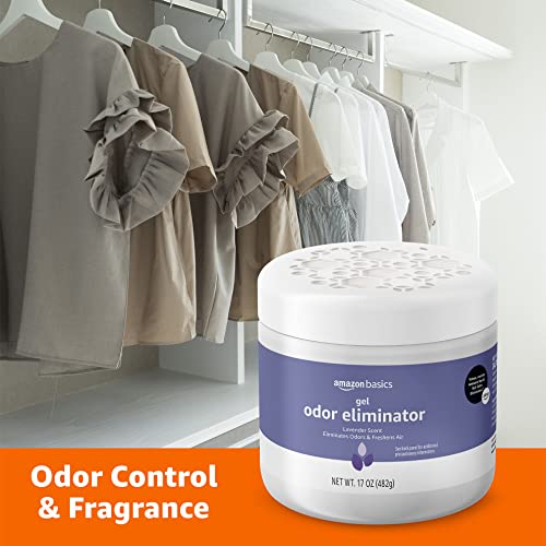 Gel Odor Eliminator (17 Ounce (Pack of 1))