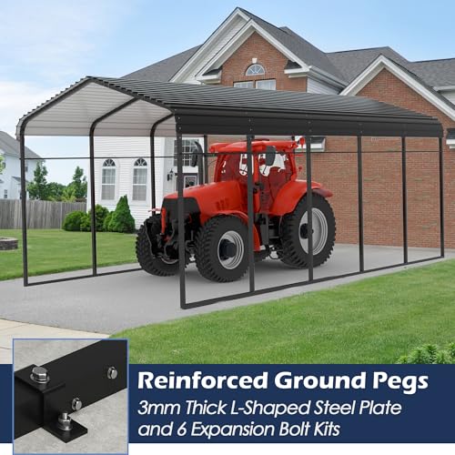 Metal Carport (12x25 FT Black)