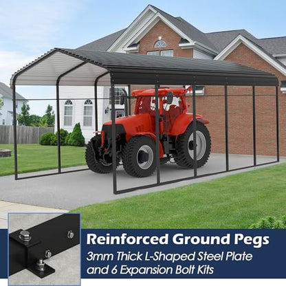 Metal Carport (12x25 FT Black)