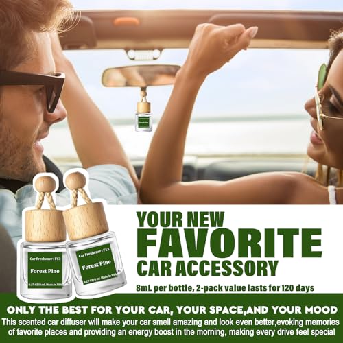 Car Air Freshener Diffuser 2 Pack Hanging Air Freshener Diffuser