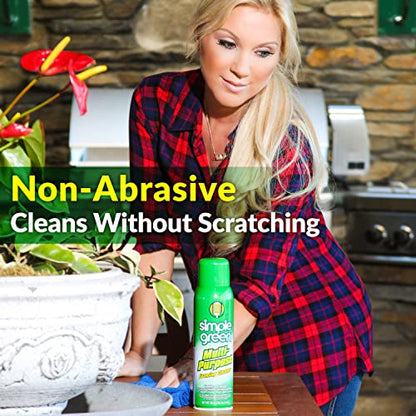 All Purpose Foaming Aerosol Cleaner (20 Ounce (Pack of 2))