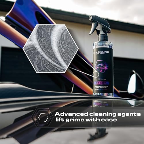 Reset Interior Car Cleaner & Deodorizer Spray (16 Fl Oz (Pack of 1))