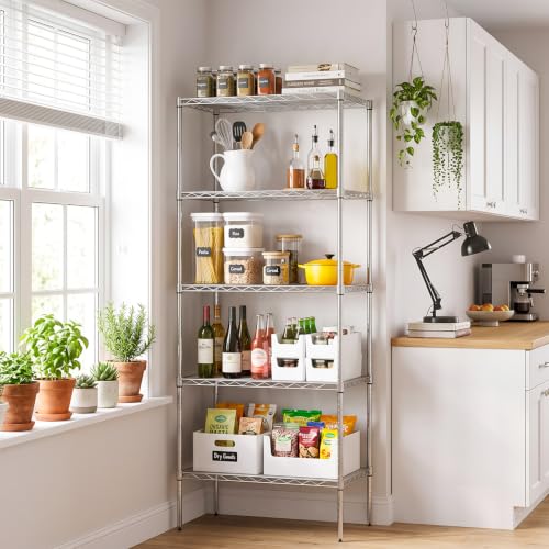 5 Tier Wire Shelf (Chrome / 14"D x 24"W x 60"H)