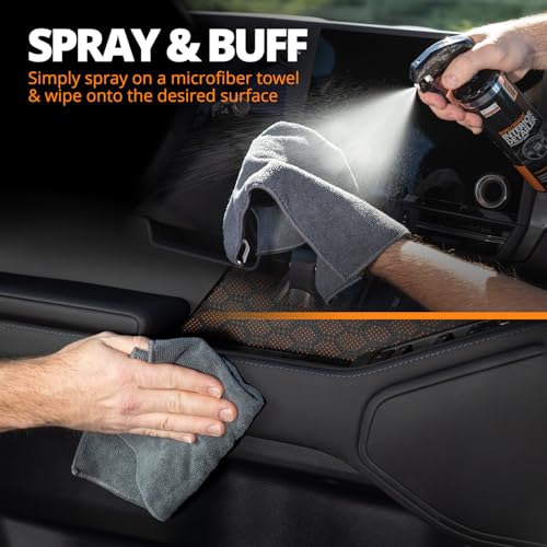 Rapid Ceramic Interior Detailer and Protectant Spray (14 Fl Oz (Pack of 2))