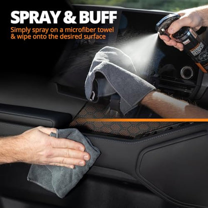 Rapid Ceramic Interior Detailer and Protectant Spray (14 Fl Oz (Pack of 2))