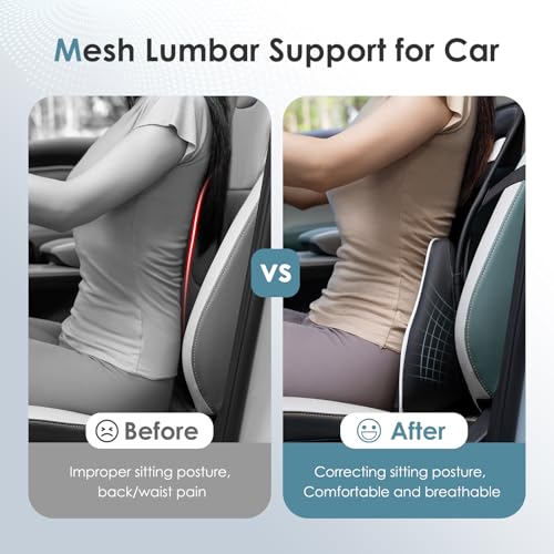 Memory Foam Double Layer Breathable Mesh Lumbar Support Ergonomic Leather Lumbar Support Pillow with 3D Mesh Back Support and Adjustable Strap for CarSeat & Office Chair (Leather Black)