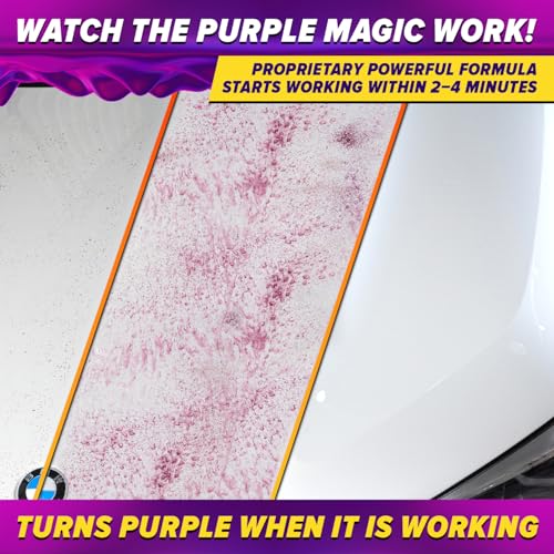 Iron Remover for Car Detailing (16 fl. oz.)
