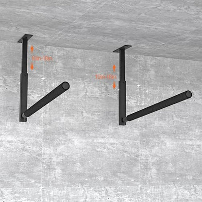 Ceiling Ladder Rack (Industrial)