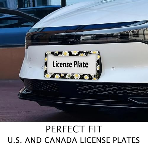 Daisy Flowers Car License Plate Frame (Daisy Flower)