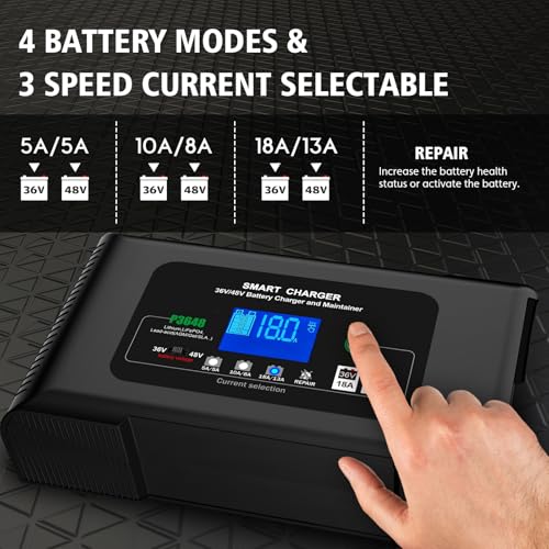 Golf cart Battery Charger (Crowfoot Plug)