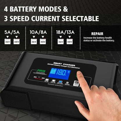Golf cart Battery Charger (Crowfoot Plug)