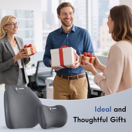 Lumbar Support Pillow and Neck Pillow for Office Chair Car (Gray / 2 Pieces)