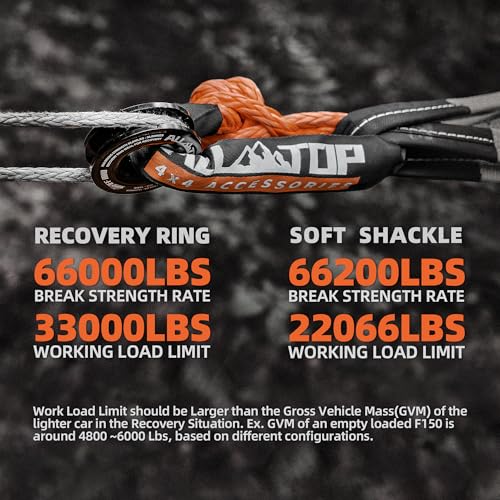 Synthetic Soft Shackle & Recovery Ring Kit (3/4" x 24" Shackles+ Black Ring)