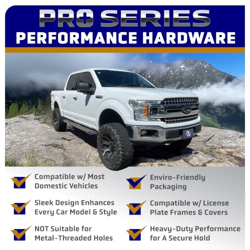 Stainless Steel License Plate Screws for License Plates (B2 (Stainless Steel))