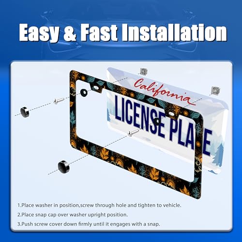 Galaxy License Plate Frame Colorful Starry Sky License Plate Stainless Steel Funny License Plate Holder for Men Women Universal Car Accessories Decoration 12.3" x 6.3" (Sun Galaxy With Leaves Print)