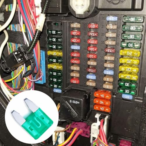 100 Pack Auto Fuses 30 AMP APM (30 AMP)