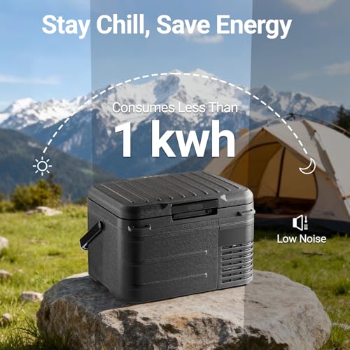 12v Refrigerator 12 Quart (Black)