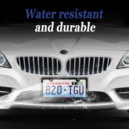 2 Pack Black License Plate Frame (2 Holes Black)