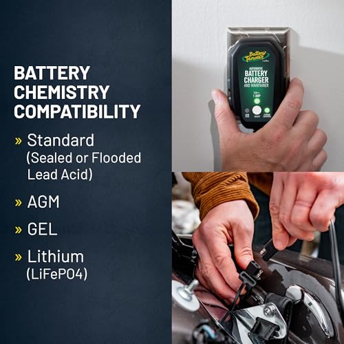 Junior 12V 800mA Battery Charger and Maintainer for Lead Acid and Lithium Batteries (Charger and Maintainer)