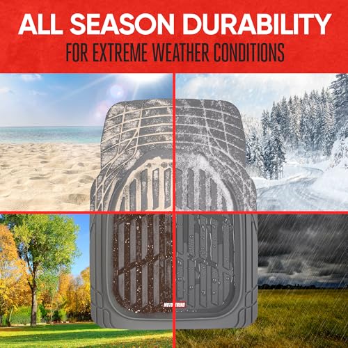 2 Piece Front Car Floor Mats (2pc Front (Full Size) / Gray)