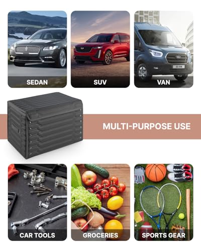 Cargo Organizer (Highway 17)