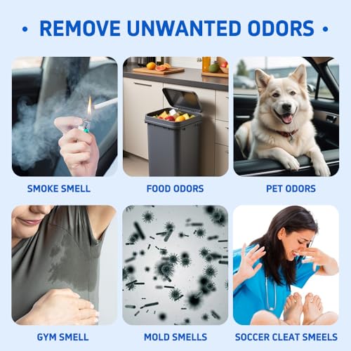 Glodway Whole Car Air Refresher Spray (6 Ounce (Pack of 3) / White)
