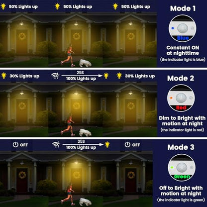 Solar Barn Light Outdoor Aluminum 3 Modes Remote (Black / 1 Pack)