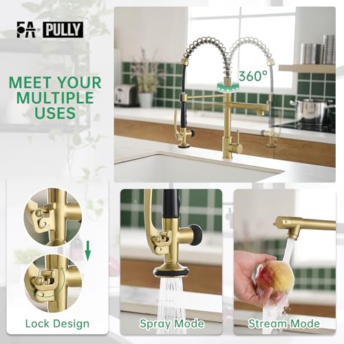 Commercial Brushed Gold Kitchen Faucet with Pull Down Sprayer (Brushed Gold)