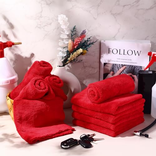 30 Pcs 16 x 16 Inch Edgeless Microfiber Plush Towels for Cars Detailing Drying Wash Polishing Absorbent Cleaning Cloths (Red / 16 x 16 Inch)