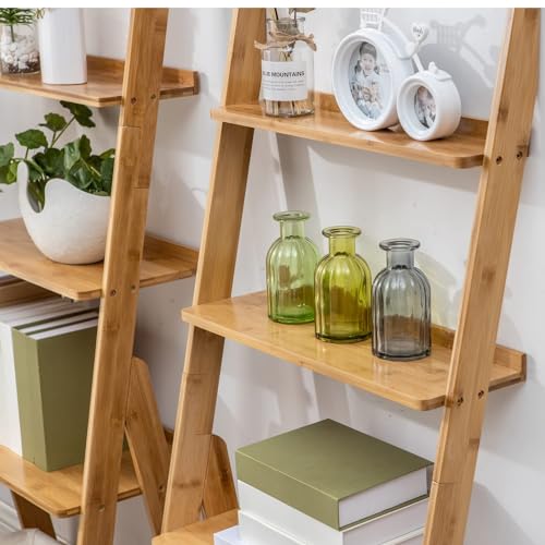 Bamboo Ladder Shelf Bookcase (5 Tier / Natural)