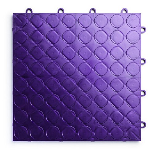 RaceDeck CircleTrac (24 Pack / Purple)